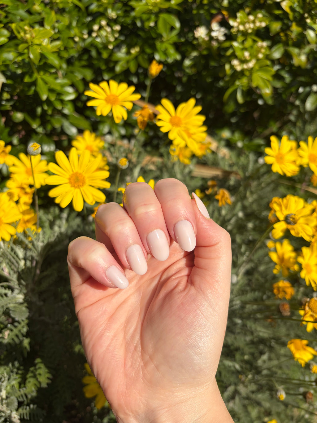 Petal Press-On Nails (medium oval)