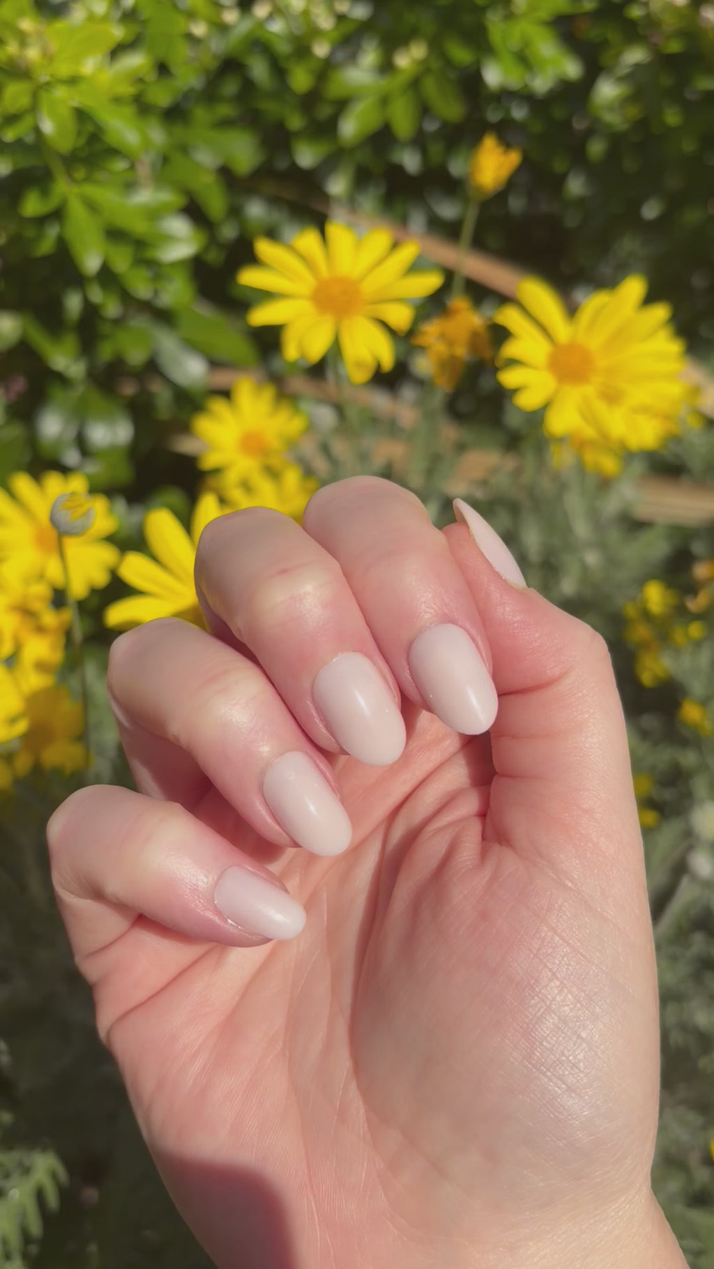 Petal Press-On Nails (medium oval)